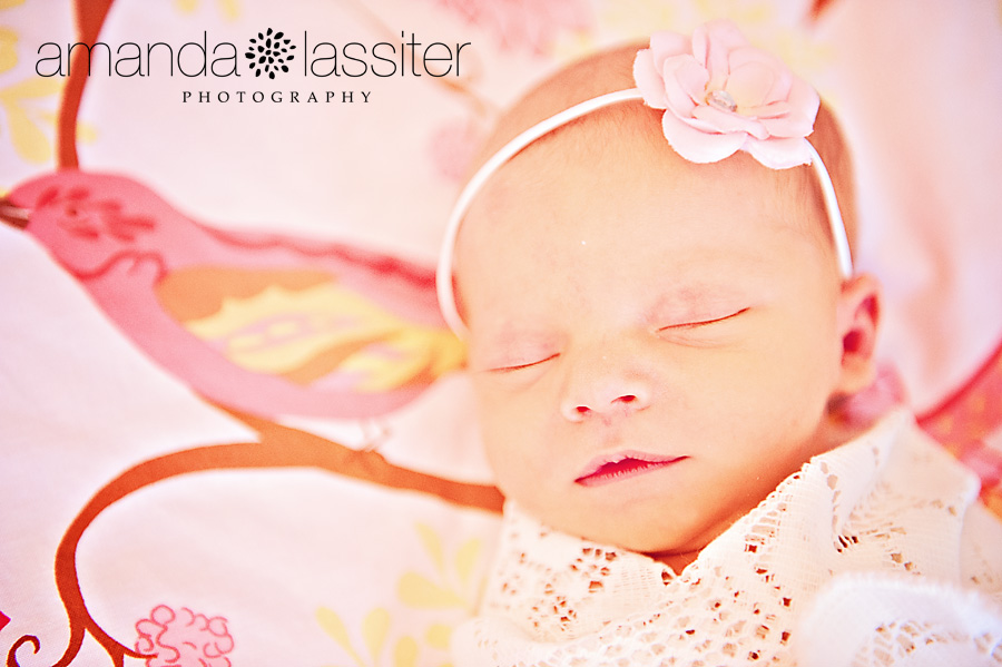 Beautiful Mila Claire {Newborn}